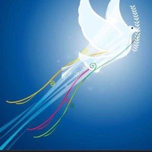 Meet your Posher, Keith